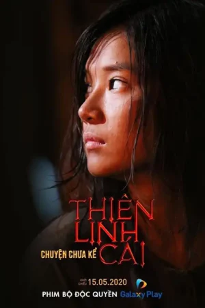 Thiên Linh Cái: Chuyện Chưa Kể 2019